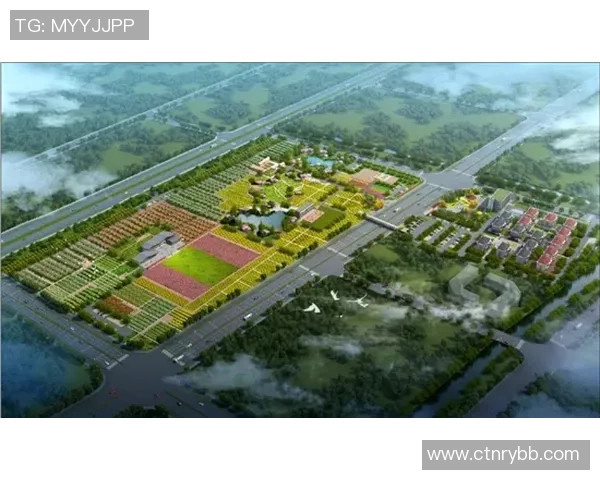 杭州足球队的运营策略深度分析与未来发展展望